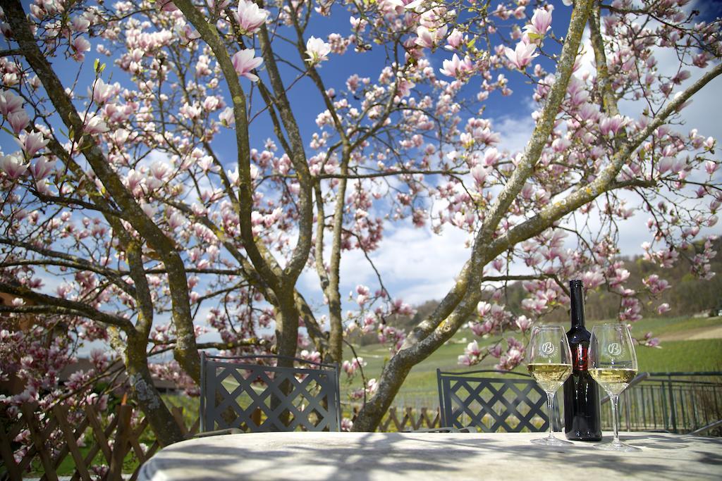 Cave Beetschen Bed and Breakfast Bursins Buitenkant foto